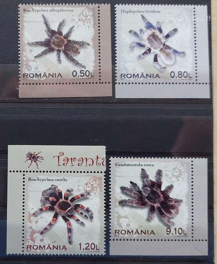 Rumunija 2010 vorai, švarus, Michel 6414-6417