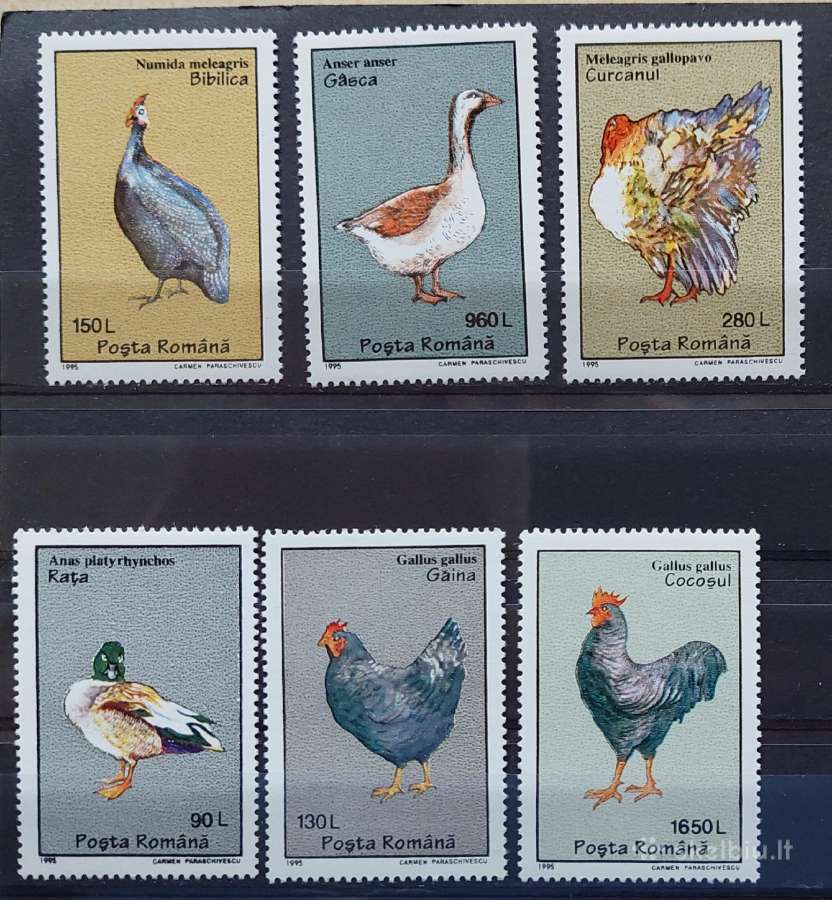 Rumunija 1995 naminiai paukščiai, švarus, Michel 5