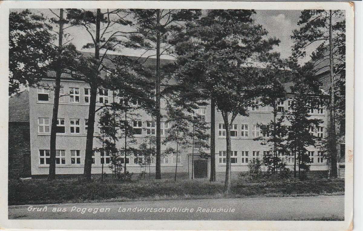 Pagegiai nuotrauka atvirukas