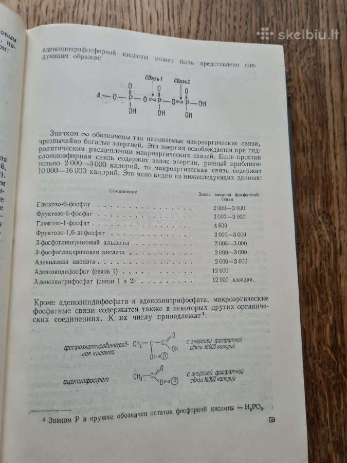 Основы биохимии растений (в.а.кретович, rusų k.) - nuotraukos Nr. 6