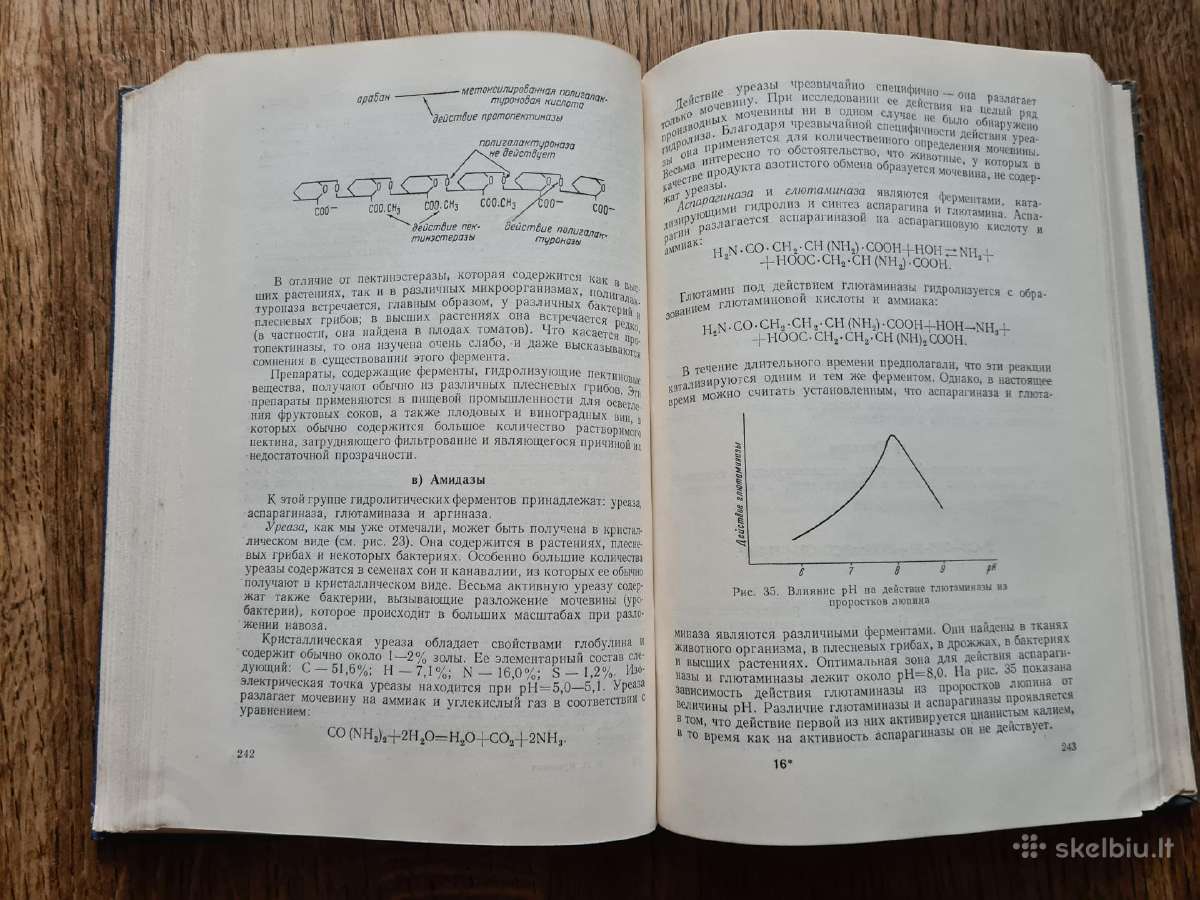 Основы биохимии растений (в.а.кретович, rusų k.) - nuotraukos Nr. 9