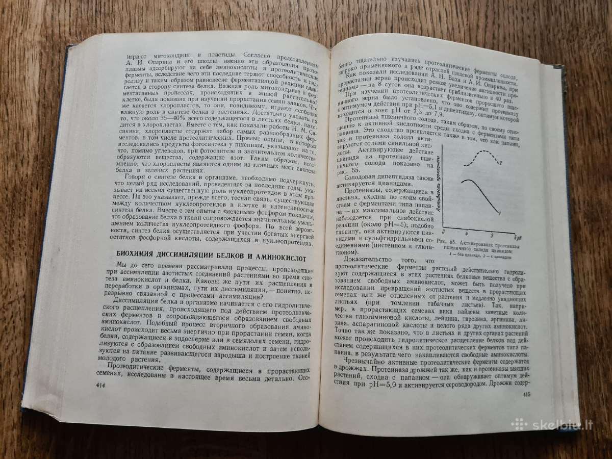 Основы биохимии растений (в.а.кретович, rusų k.) - nuotraukos Nr. 11