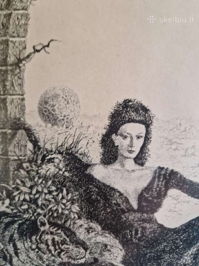 Marius Liugaila - nuotraukos Nr. 3