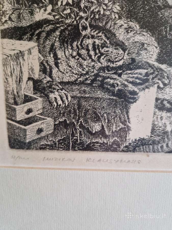 Marius Liugaila - nuotraukos Nr. 6