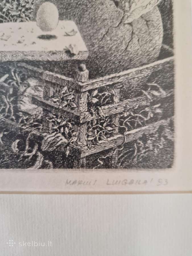 Marius Liugaila - nuotraukos Nr. 8