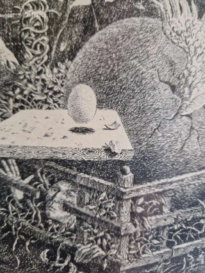 Marius Liugaila - nuotraukos Nr. 6