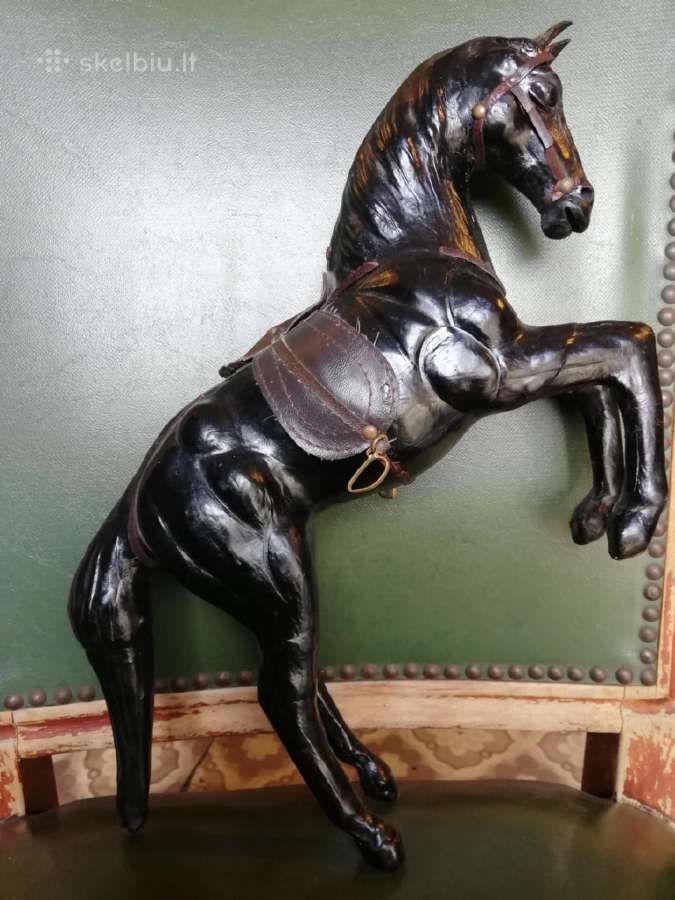 Kolekcinis arkliukas