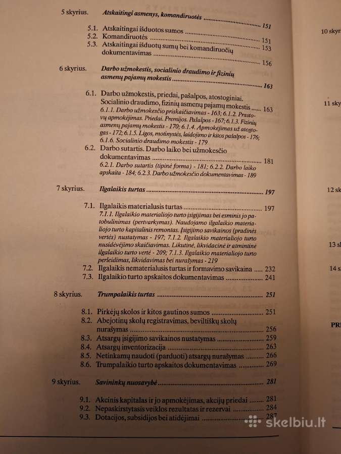 Tipinės apskaitos klaidos ir jų ištaisymo būdai. - nuotraukos Nr. 4