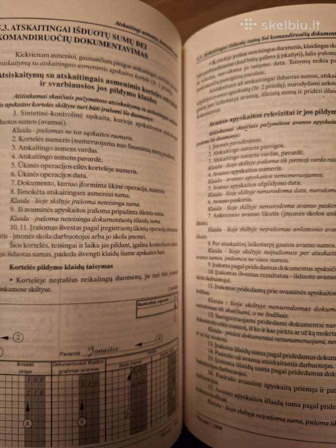 Tipinės apskaitos klaidos ir jų ištaisymo būdai. - nuotraukos Nr. 6