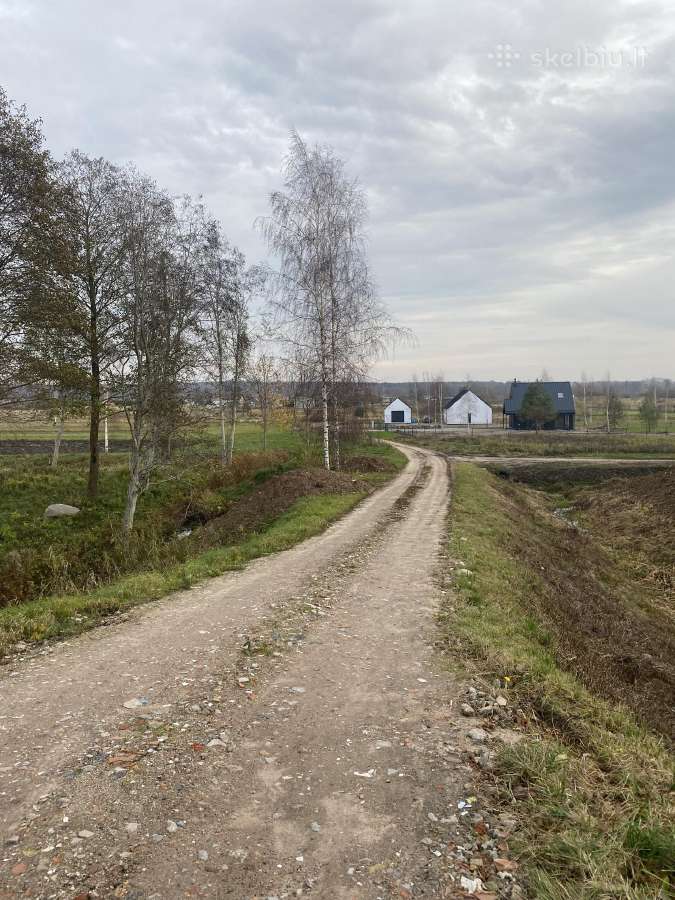 Dovilai 46,58 a Elektra Galimybė Skaidyti - nuotraukos Nr. 2