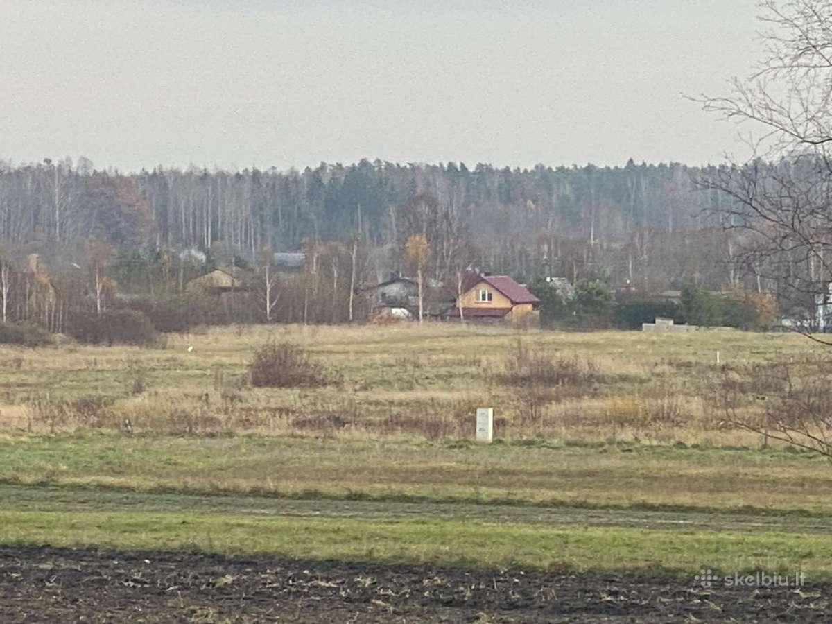 Dovilai 46,58 a Elektra Galimybė Skaidyti - nuotraukos Nr. 3