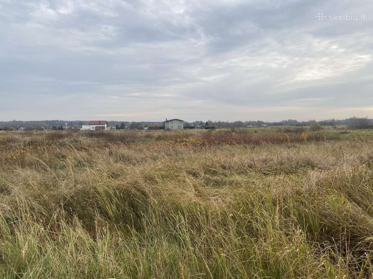 Dovilai 46,58 a Elektra Galimybė Skaidyti - nuotraukos Nr. 11