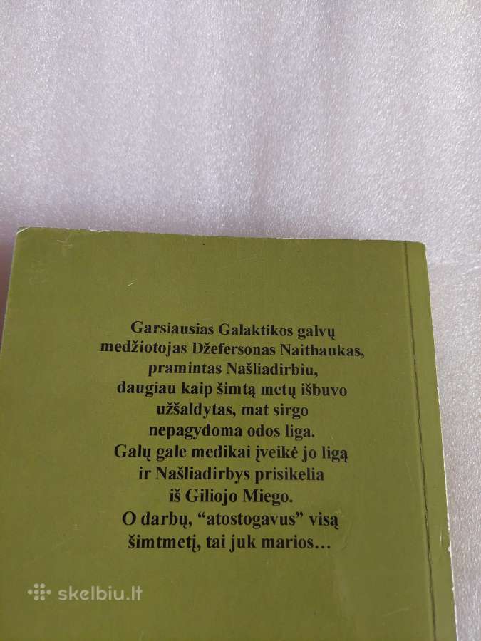 Pasveikęs našliadirbys - nuotraukos Nr. 3