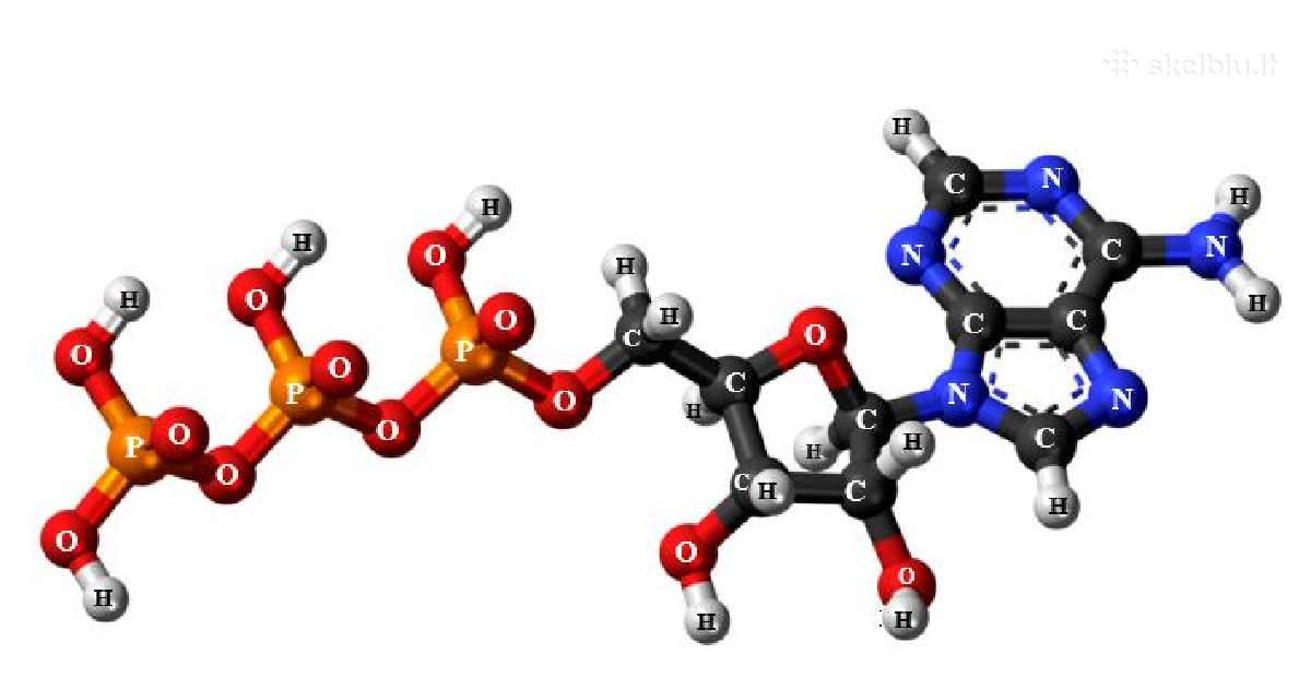 Chemijos pamokos - nuotraukos Nr. 2