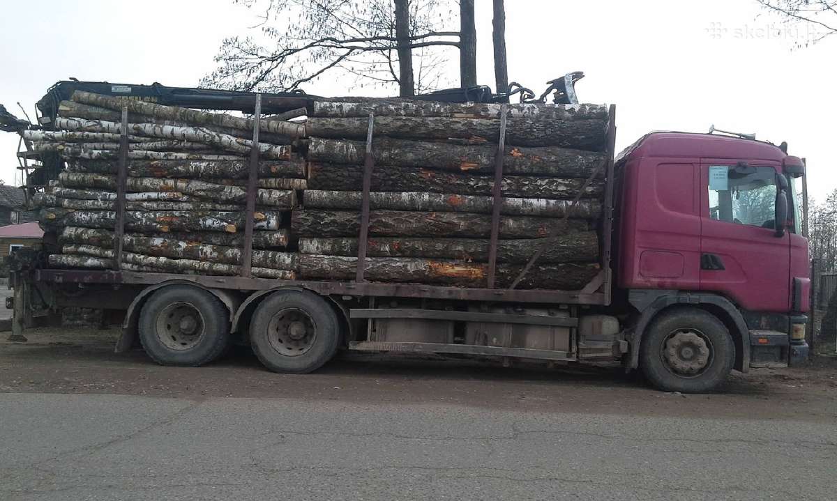 Malkos pigiau! Beržas,uosis,ąžuolas,alksnis. - nuotraukos Nr. 17