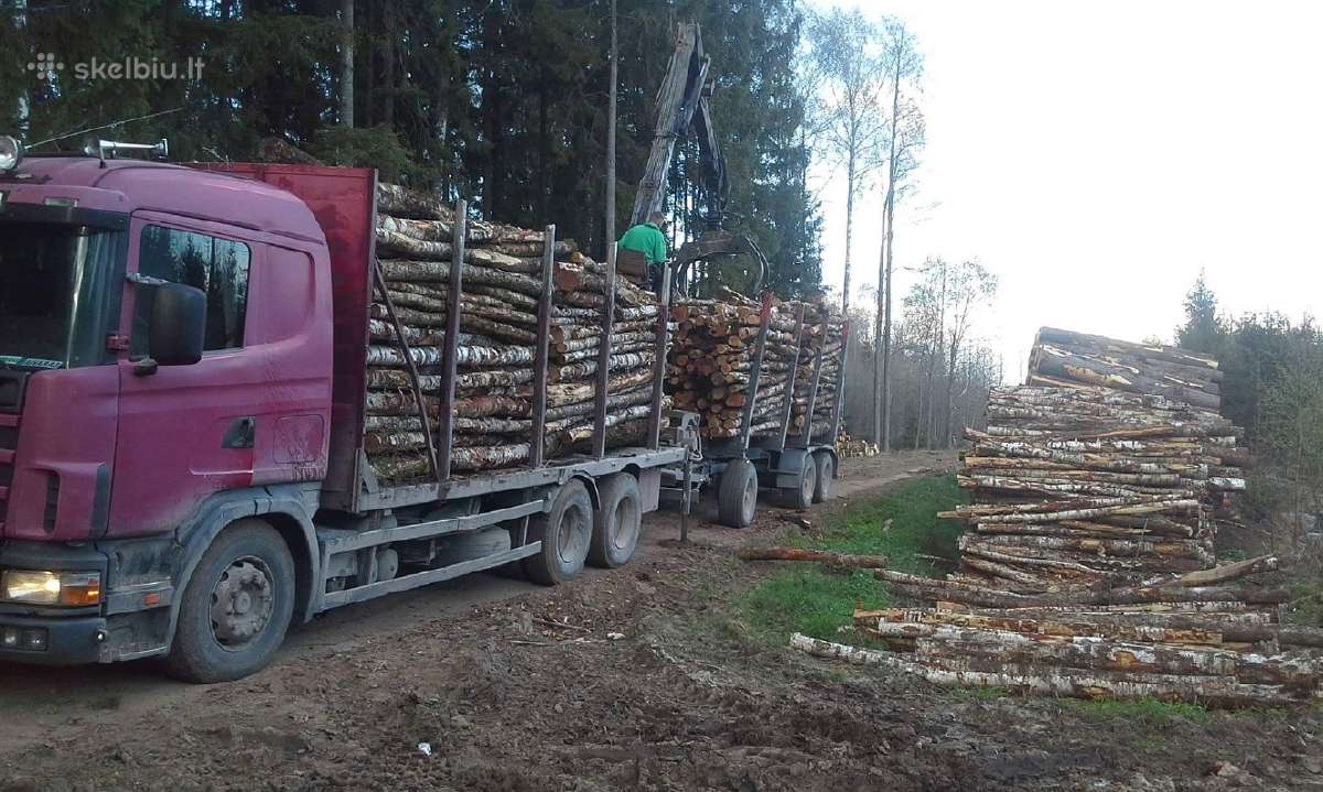 Malkos pigiau! Beržas,uosis,ąžuolas,alksnis. - nuotraukos Nr. 13
