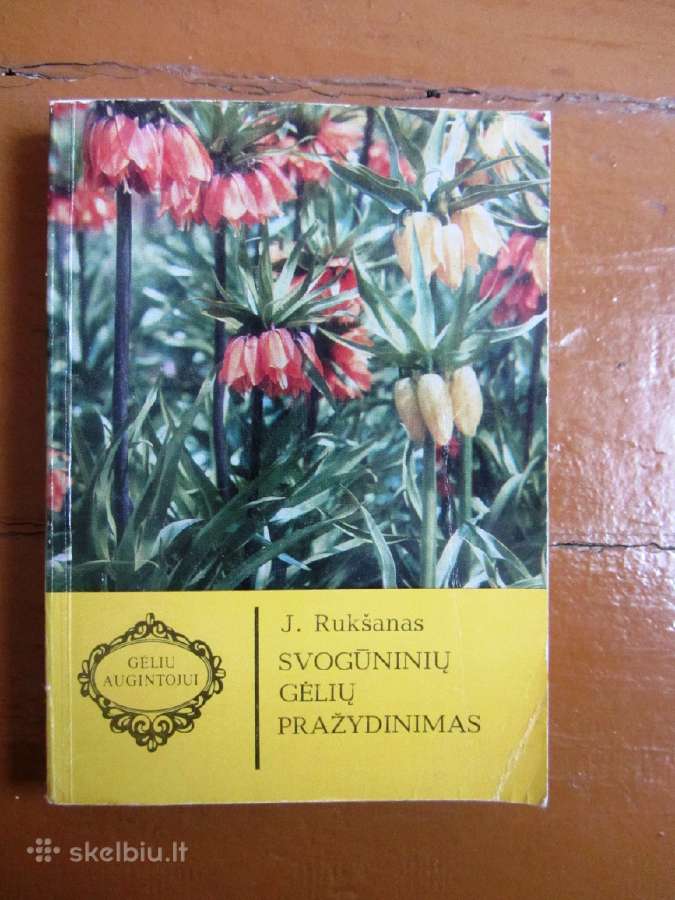 Svogūninių gėlių pražydinimas