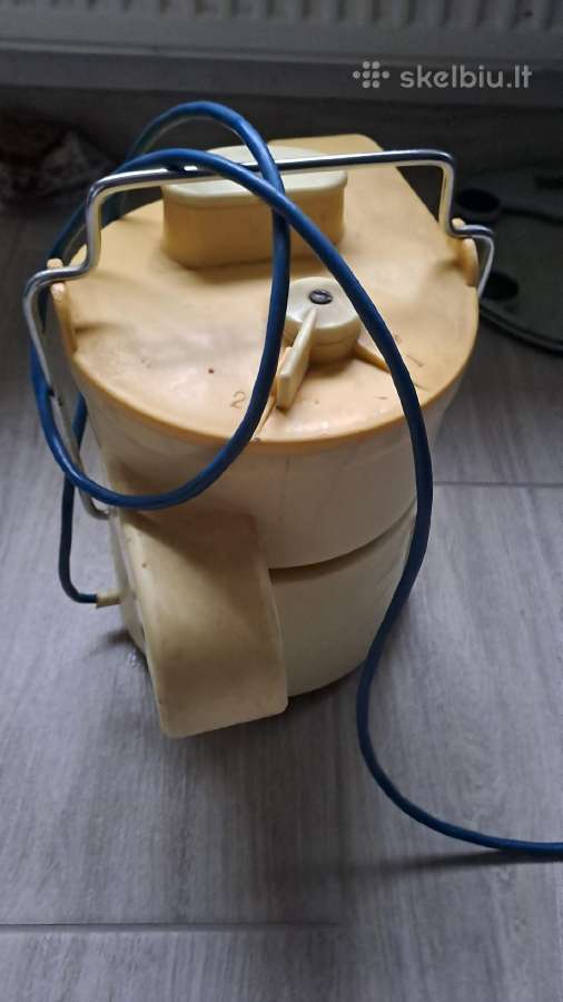 Sulciaspaude