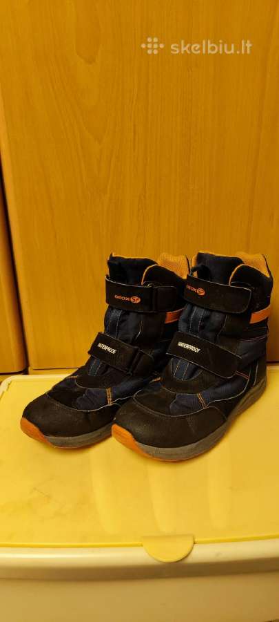 Geox 38(24 cm)