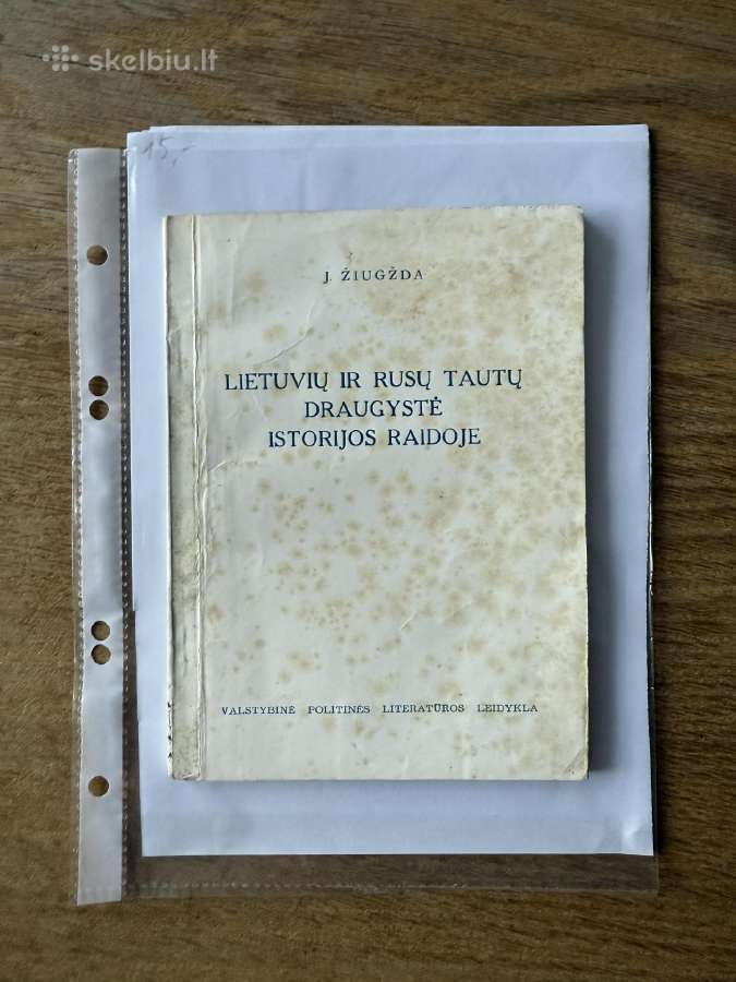 Lietuvių ir rusų tautų draugystė istorijos raidoje