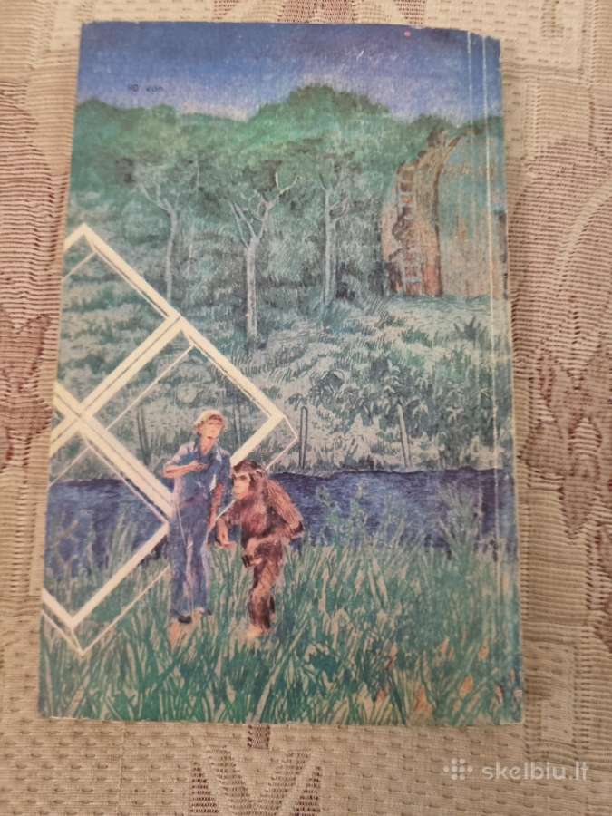 Bezdžionės , Žmogus ir Kalba - nuotraukos Nr. 4