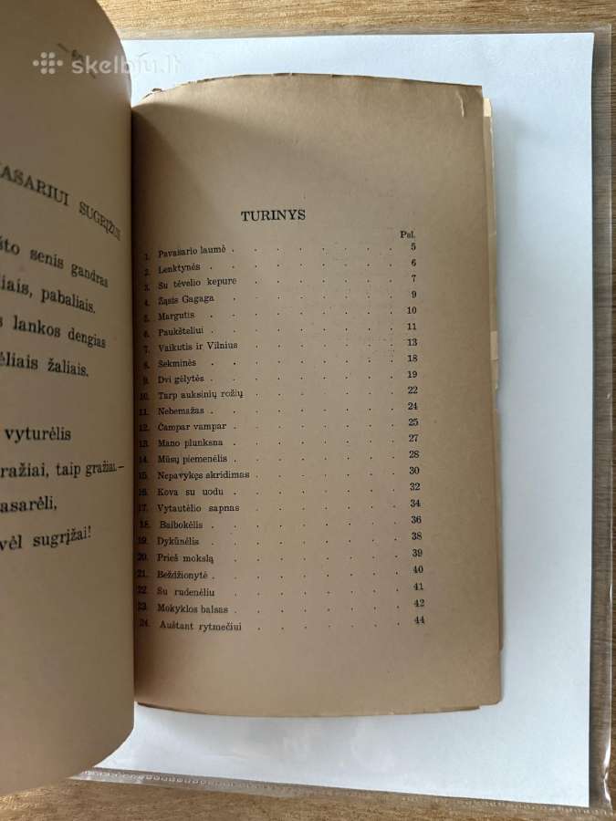 Su tėvelio kepure 1938 m - nuotraukos Nr. 7