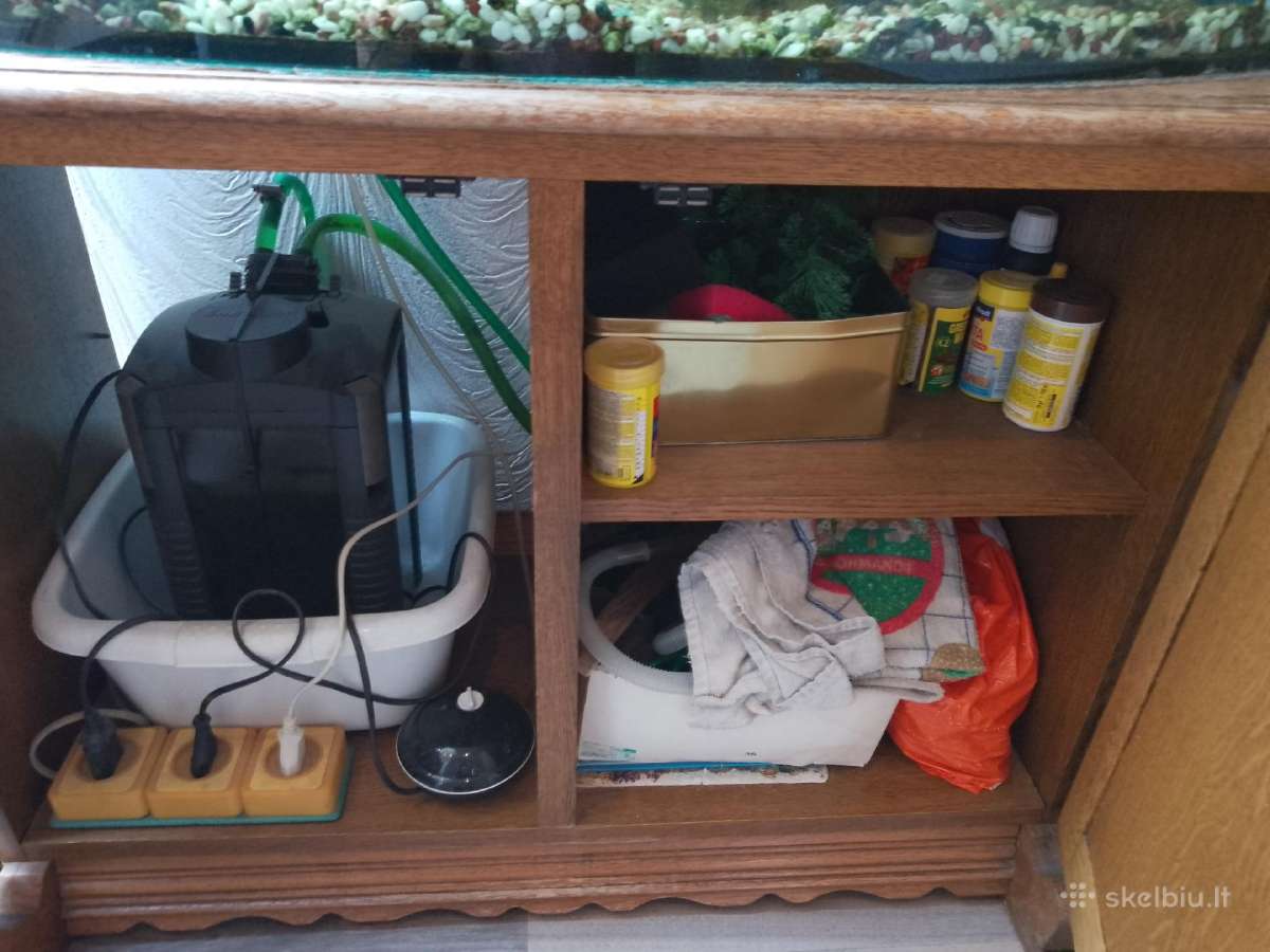 Akvariumui spintele. - nuotraukos Nr. 2