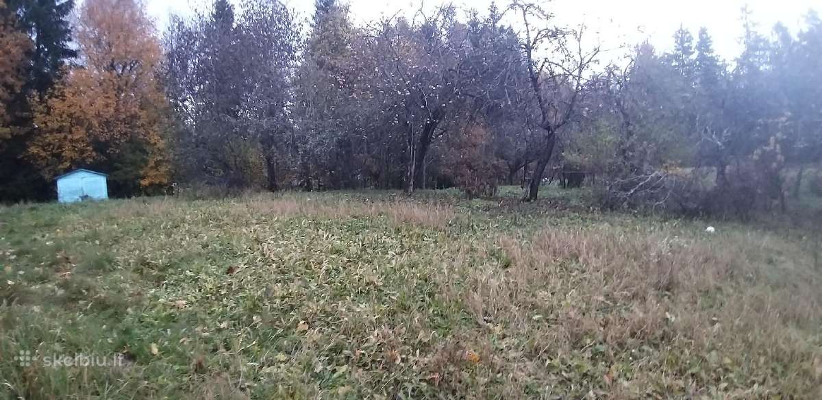 Sodo sklypai (vienas šalia kito) - nuotraukos Nr. 3