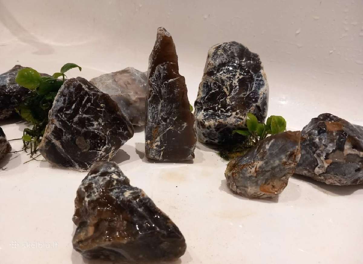 Dekoratyviniai akmenys akvariumui - nuotraukos Nr. 2