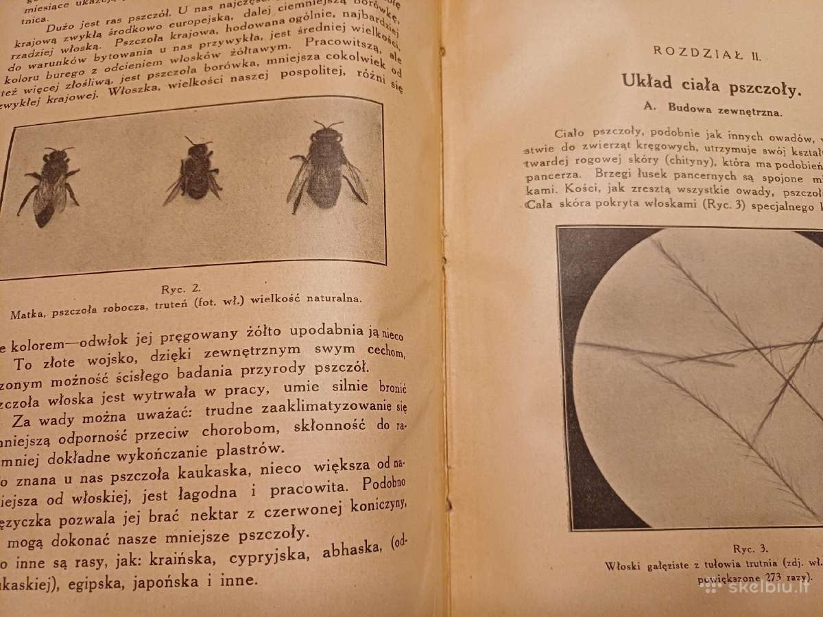 Parduodu knyga,apie bites,1927m.w wilnie - nuotraukos Nr. 8