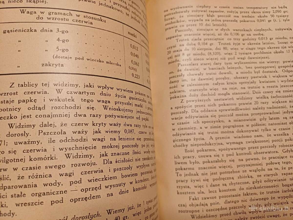 Parduodu knyga,apie bites,1927m.w wilnie - nuotraukos Nr. 10