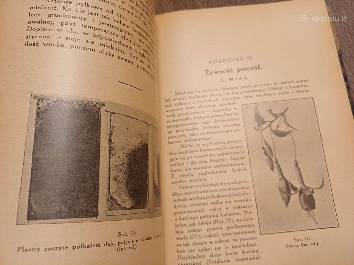 Parduodu knyga,apie bites,1927m.w wilnie - nuotraukos Nr. 11