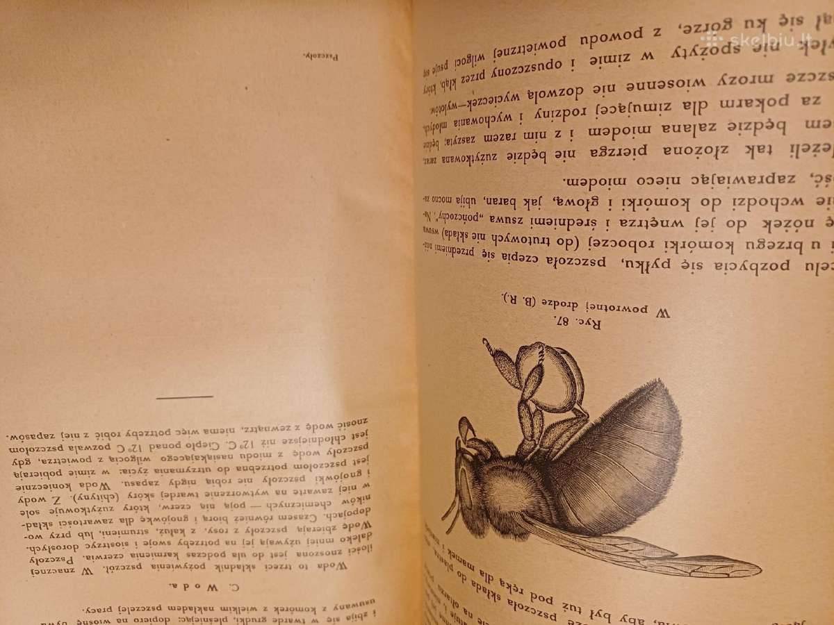 Parduodu knyga,apie bites,1927m.w wilnie - nuotraukos Nr. 14