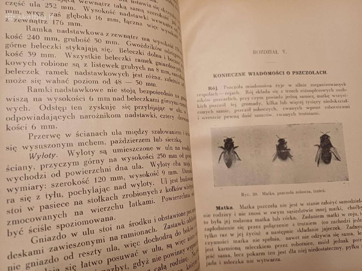 Parduodu knyga,apie bites,1927m.w wilnie - nuotraukos Nr. 36