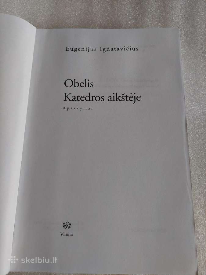 Obelis Katedros aikštėje - nuotraukos Nr. 2