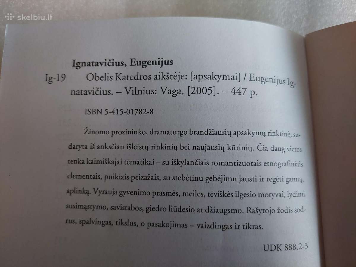 Obelis Katedros aikštėje - nuotraukos Nr. 3