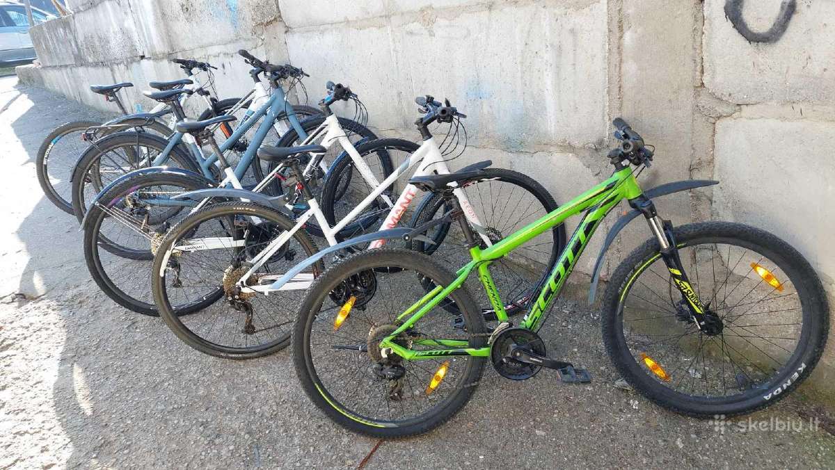 Dviratis visai šeimai Scott Cube Trek gera kaina