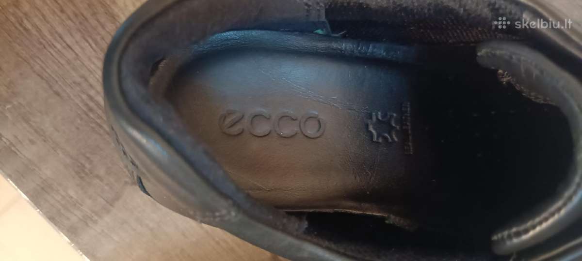 Ecco - nuotraukos Nr. 9