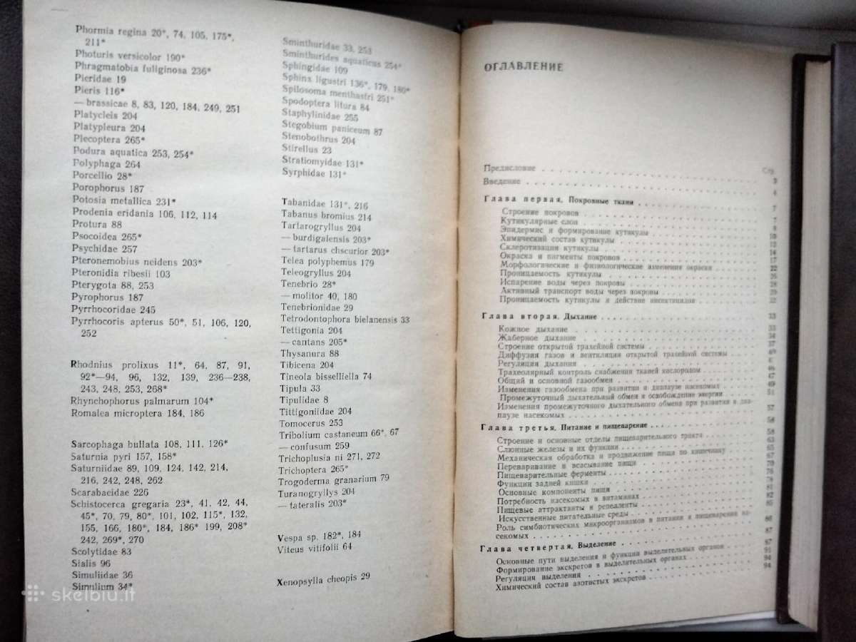 Vabzdžių fiziologija (rusų k.) - nuotraukos Nr. 9