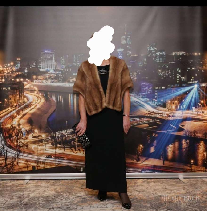 Foto sienelė (Vilniaus vaizdas)