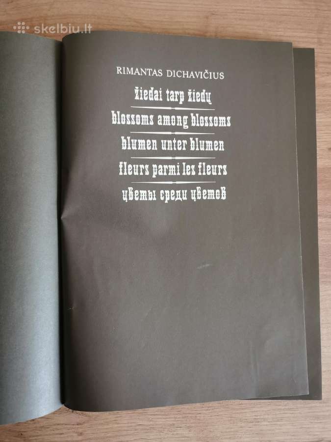 Dichavičius - Tarp žiedų - nuotraukos Nr. 3