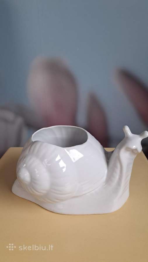 Sraigė