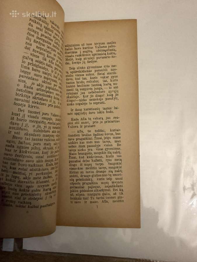 Puida. Keleivis Legenda 1906 m. - nuotraukos Nr. 4