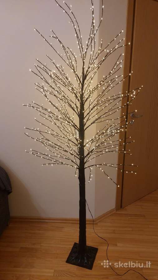 Šviečiantys medžiai - nuotraukos Nr. 2