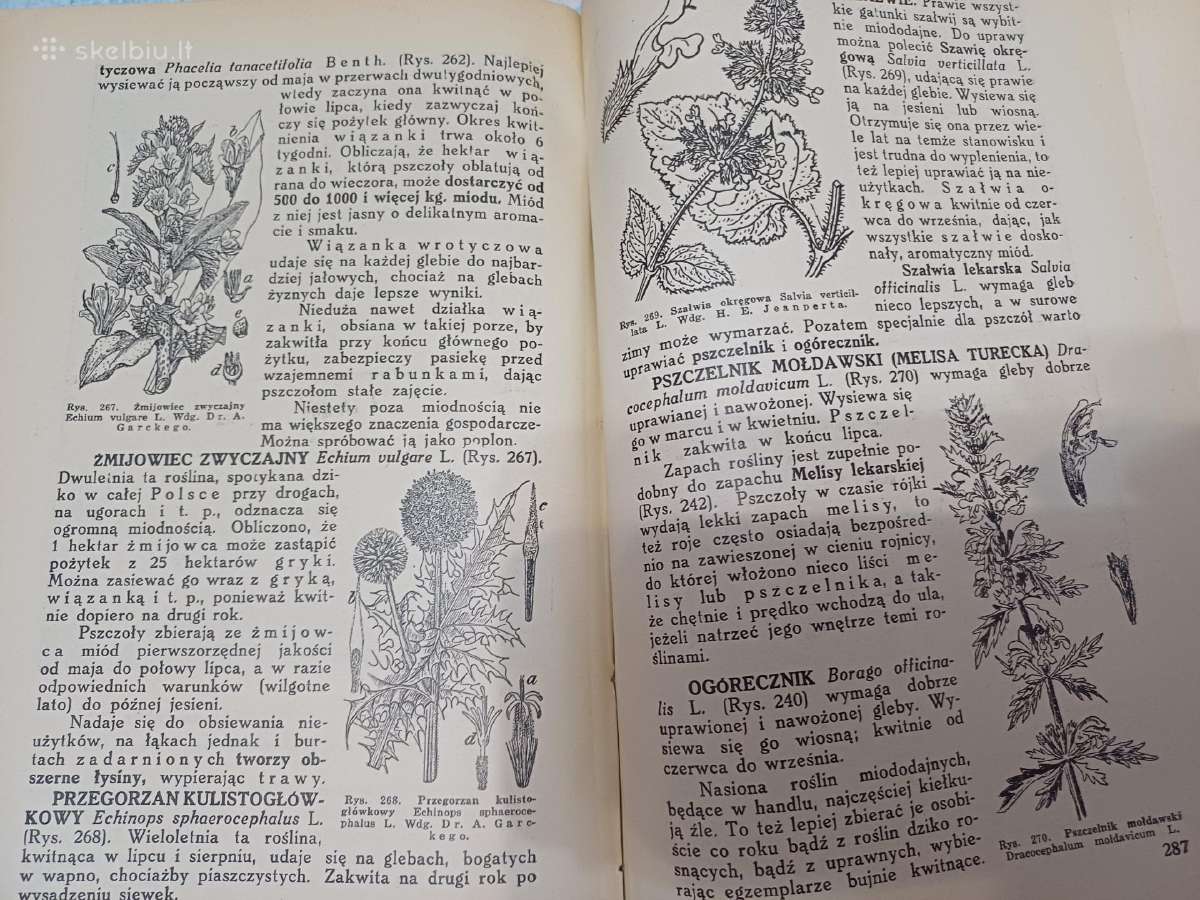 Parduodu knyga,pszczoly,1936m - nuotraukos Nr. 9