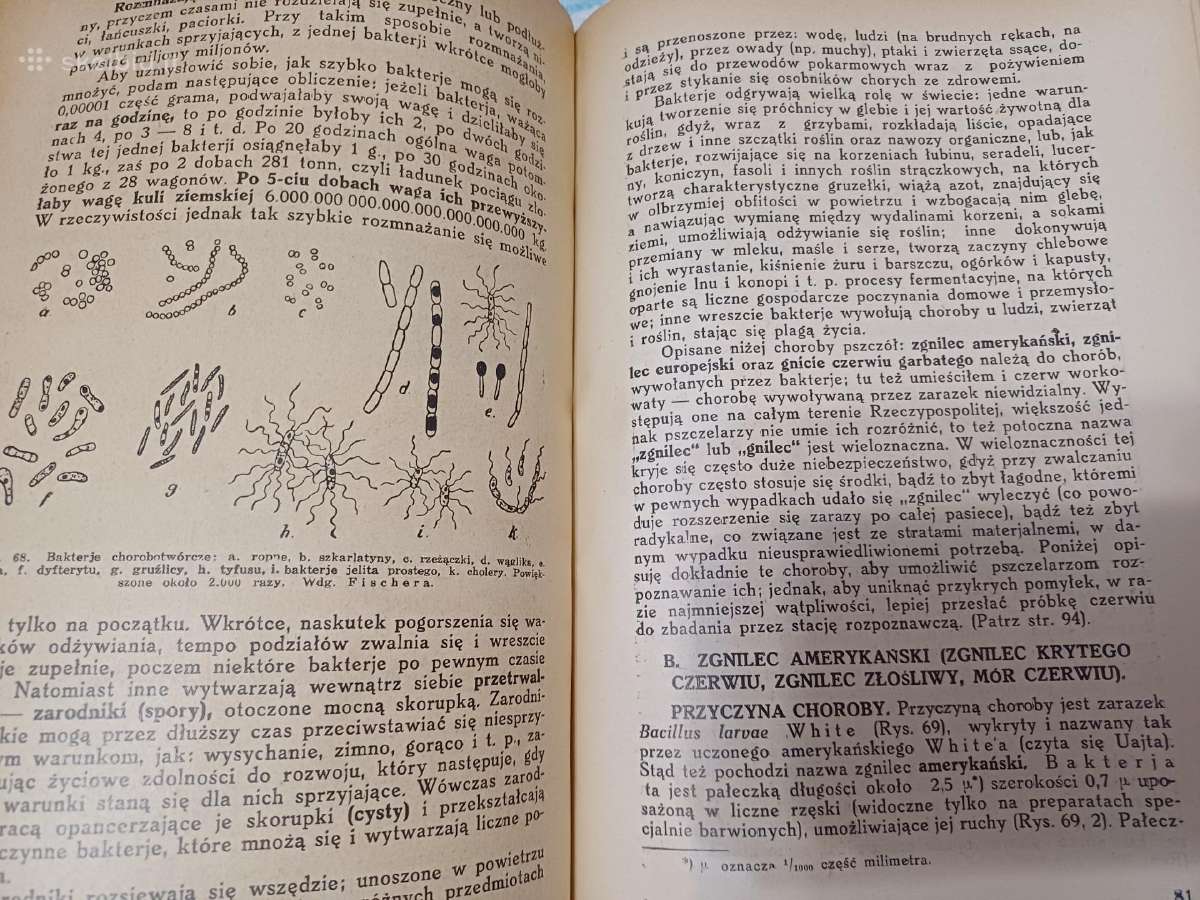 Parduodu knyga,pszczoly,1936m - nuotraukos Nr. 10