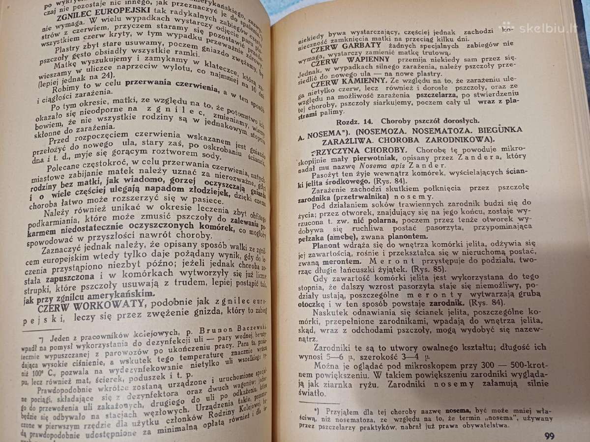 Parduodu knyga,pszczoly,1936m - nuotraukos Nr. 11