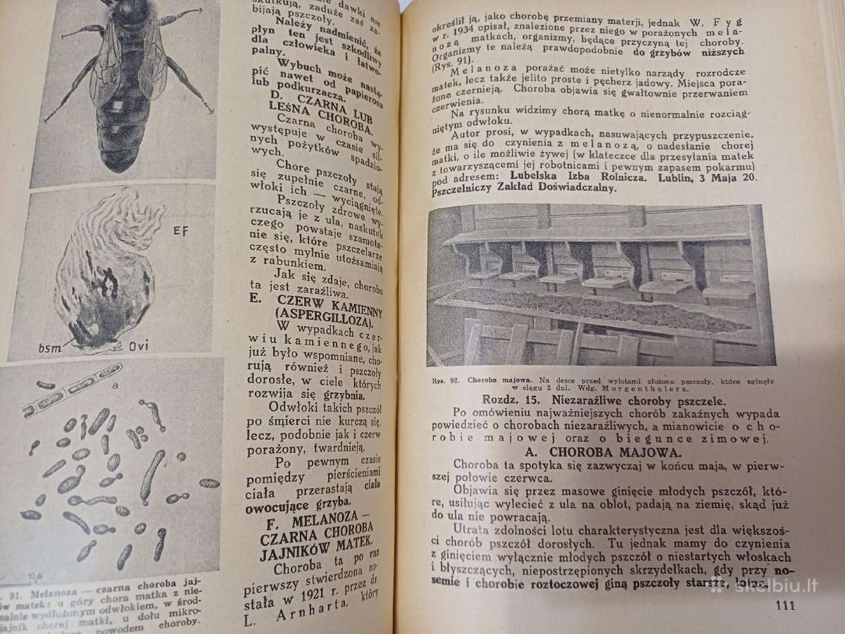 Parduodu knyga,pszczoly,1936m - nuotraukos Nr. 13