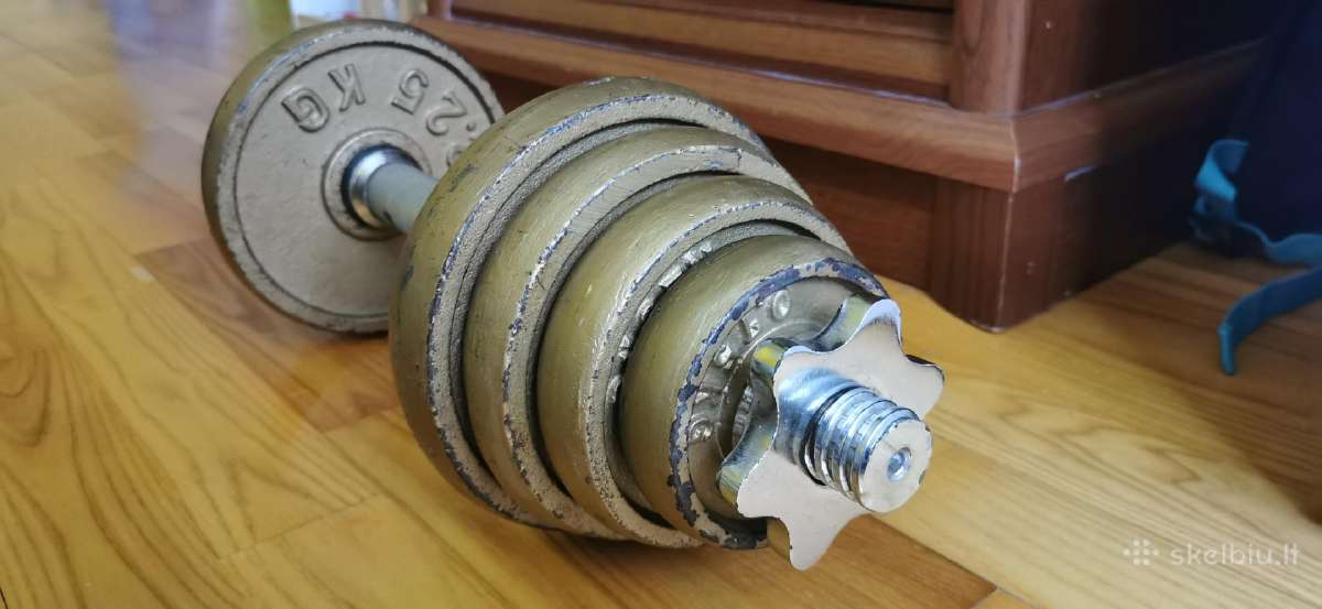 Hantelis 13 kg