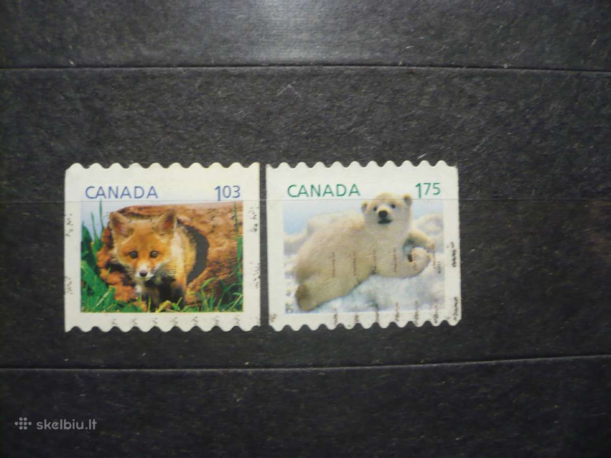2011 m. fauna – laukinės gamtos jaunikliai